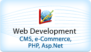 BitraNet Services Web Development CMS, e-commerce, php, asp.net websites